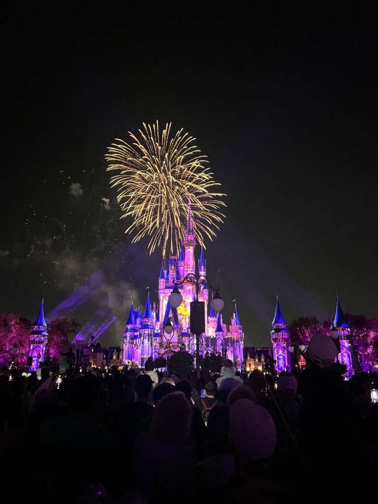 Disney's Magic Kingdom firework show